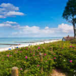 Strand von Ahrenshoop an der Ostsee