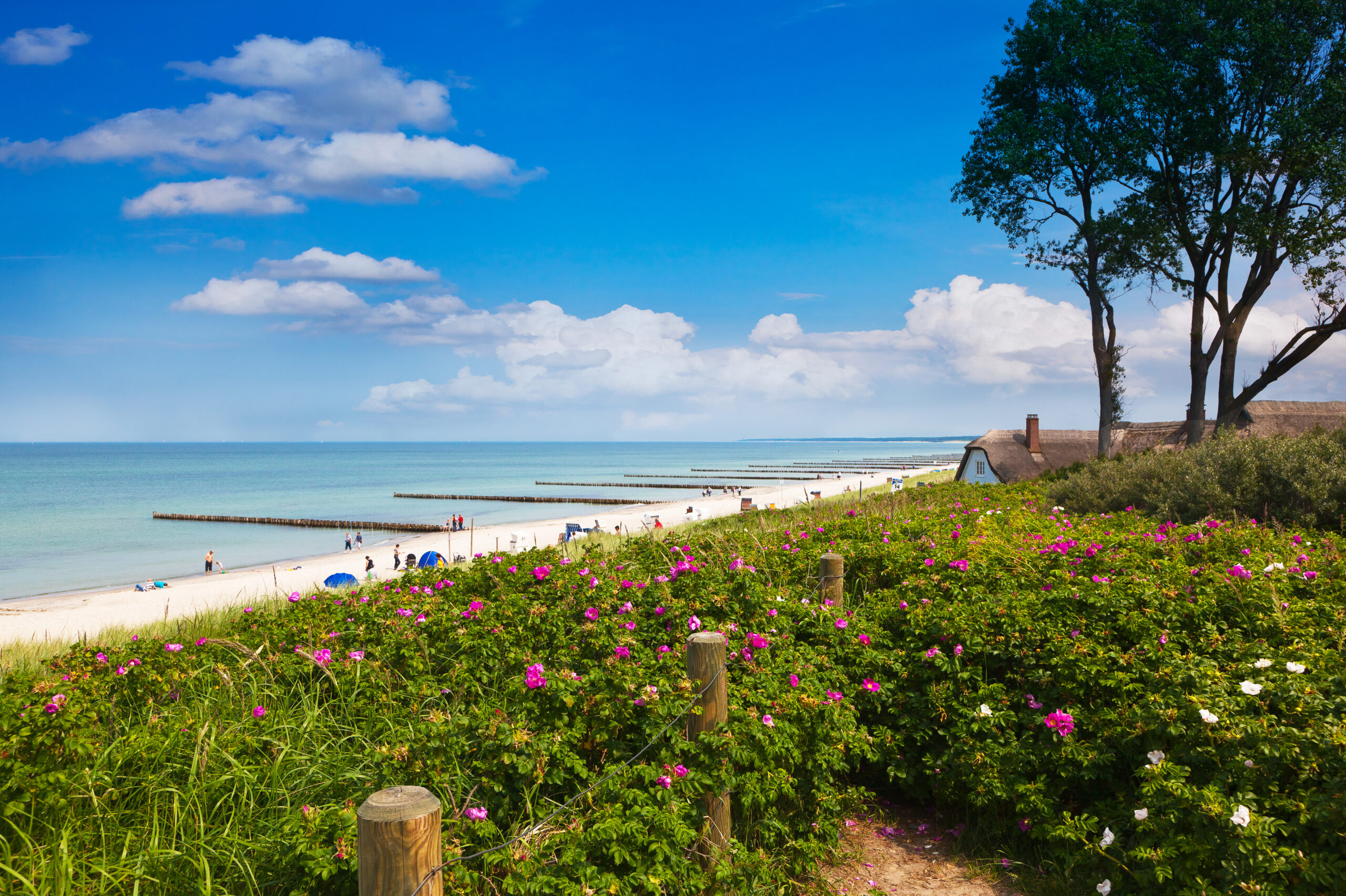 Strand von Ahrenshoop an der Ostsee